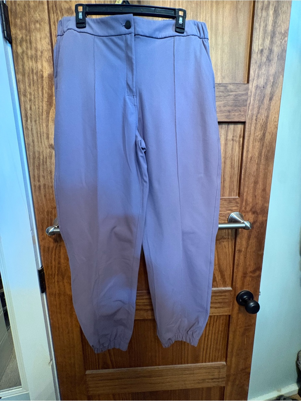 lululemon athletica Lavender Jogger Sweatpants